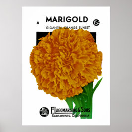 Marigold Vintag Seed Packet Poster