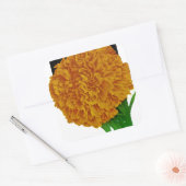 Marigold Vintag Seed Packet Quadratischer Aufkleber (Umschlag)