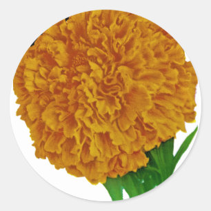 Marigold Vintag Seed Packet Runder Aufkleber