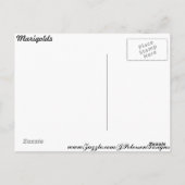 Marigolds # 5 postkarte (Rückseite)