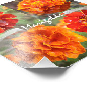 Marigolds Fotodruck (Ecke)