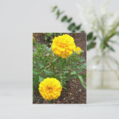 Marigolds Postkarte (Stehend Vorderseite)