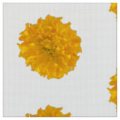 Marigolds und weiße Hintergrundstoffe Stoff (Nahaufnahme)