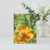 Marigolds w. Bee # 2 Postkarte (Stehend Vorderseite)