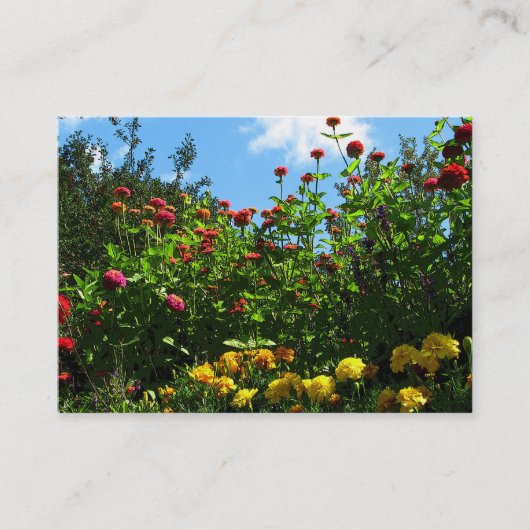 Marigolds, Zinnias und Blue Sky ATC Visitenkarte (Vorderseite)