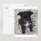 Marika2 Postkarte (Vorne/Hinten)