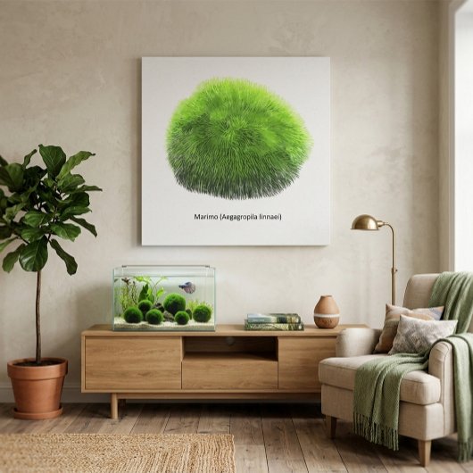 Marimo Moss Ball Hand Drawn Leinwanddruck