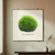 Marimo Moss Ball Hand Drawn