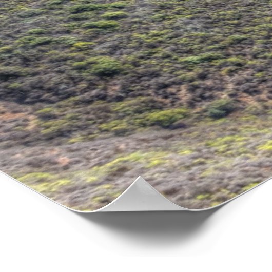 Marin Headlands Poster (Ecke)