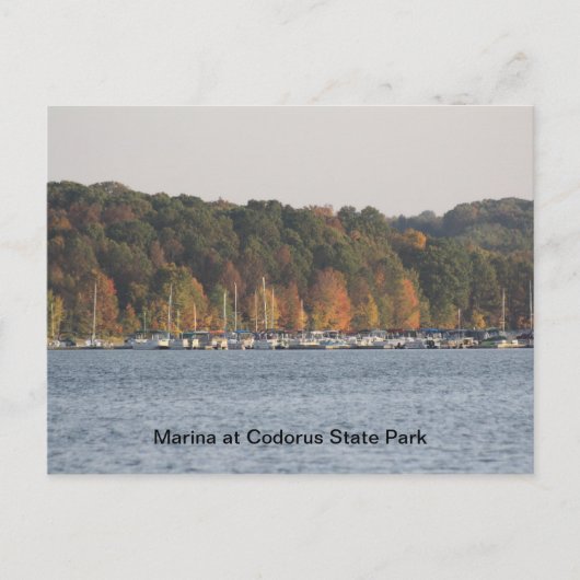 Marina at Codorus Staat Park Postkarte (Vorderseite)