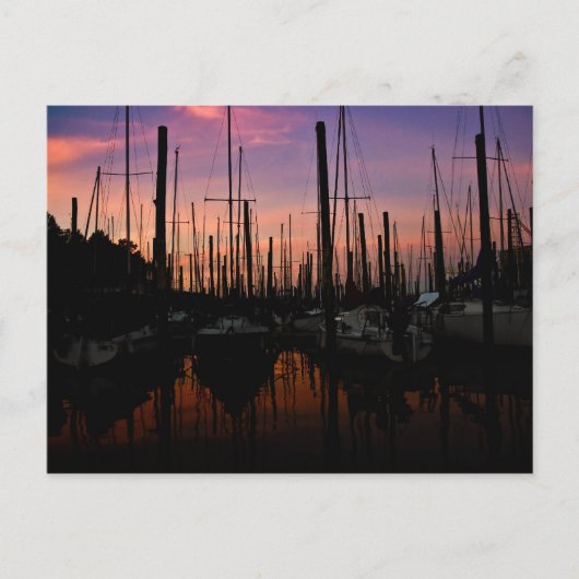 Marina at sunset postkarte (Vorderseite)