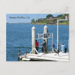 Marina Del Rey Fishing Postcard! Postkarte