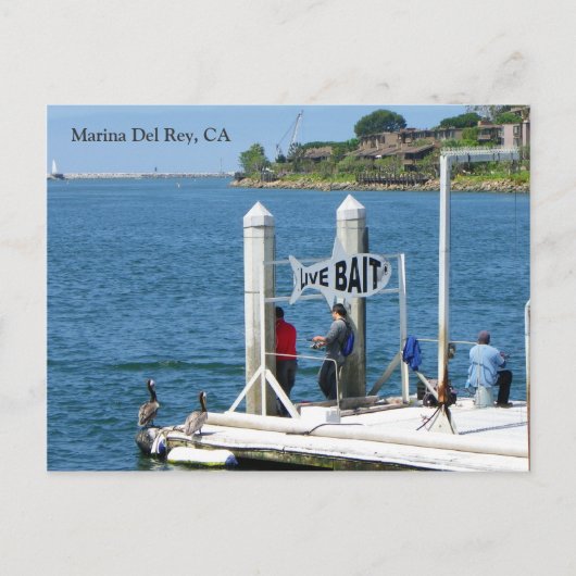 Marina Del Rey Fishing Postcard! Postkarte (Vorderseite)