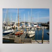 Marina Poster (Vorne)