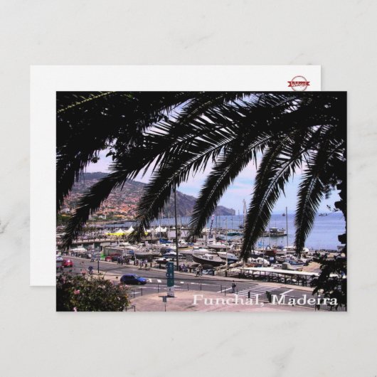 Marina View @ Funchal Postcard Postkarte (Vorne/Hinten)