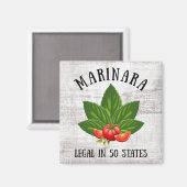 Marinara Recht in 50 Staaten Basil und Tomaten Magnet (Vorderseite/Rückseite)