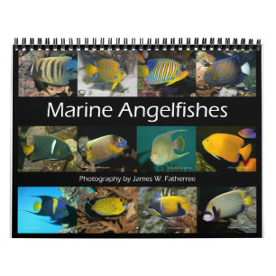 Marine Angelfish Wall Calendar von J.W. Vater Kalender