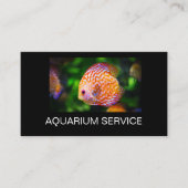 Marine Aquarium Discus Fish Theme Business Cards Visitenkarte (Vorderseite)