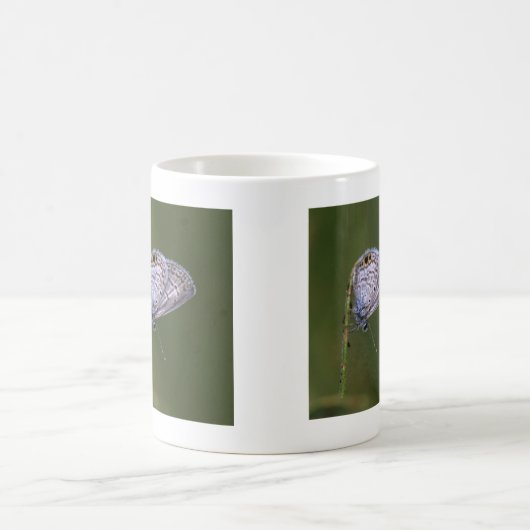 Marine Blue Butterfly Kaffeetasse (Mittel)