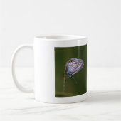 Marine Blue Butterfly Kaffeetasse (Links)