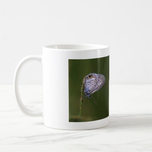 Marine Blue Butterfly Kaffeetasse (Links)