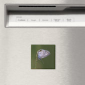 Marine Blue Butterfly Magnet (In Situ (Geschirrspüler))