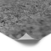 Marine Corps Mascot Jiggs: 1923 Poster (Ecke)