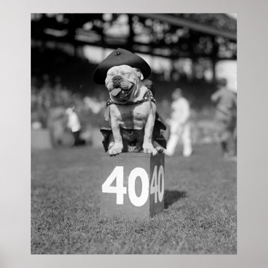 Marine Corps Mascot Jiggs: 1923 Poster (Vorne)