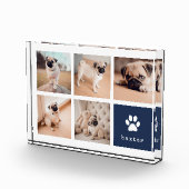 Marine | Dog Pawprint Collage Fotoblock (Rechts)