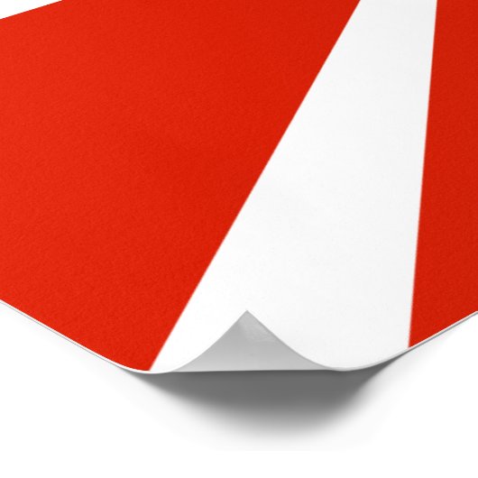 Marine Flag 1923 Poster (Ecke)