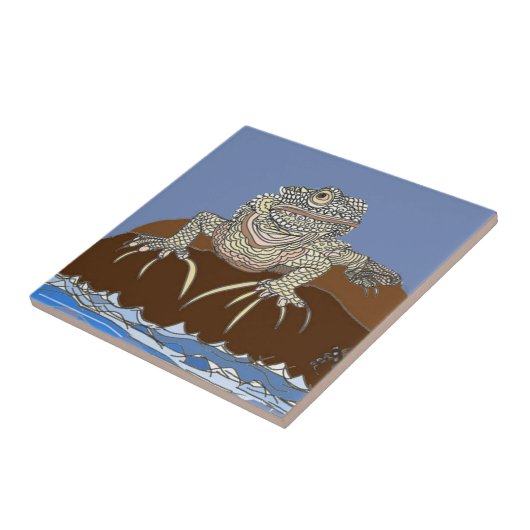 Marine Iguana auf dem Felsen mit Hermit Crab Fliese (Seite)