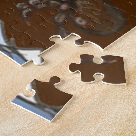Marine Iguana auf dem Felsen mit Hermit Crab Puzzle (Seite)