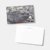 Marine Iguana Ausweis (Vorder- & Rückseite)