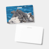 Marine Iguana Ausweis (Vorder- & Rückseite)