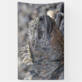 Marine Iguana Banner (Vertikal)