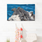 Marine Iguana Banner (Insitu)