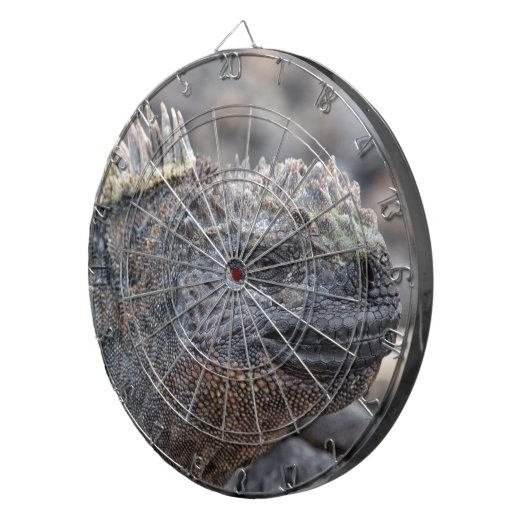 Marine Iguana Dartscheibe (Vorderseite rechts)