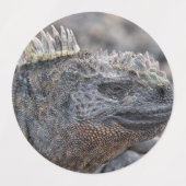 Marine Iguana Etiketten (Design 2)