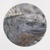 Marine Iguana Etiketten (Design 1)