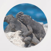 Marine Iguana Etiketten (Design 1)