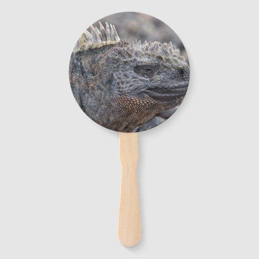 Marine Iguana Fächer (Vorderseite)