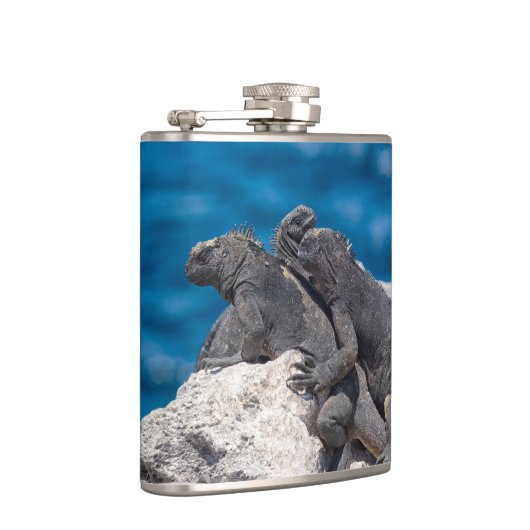 Marine Iguana Flachmann (Rechts)