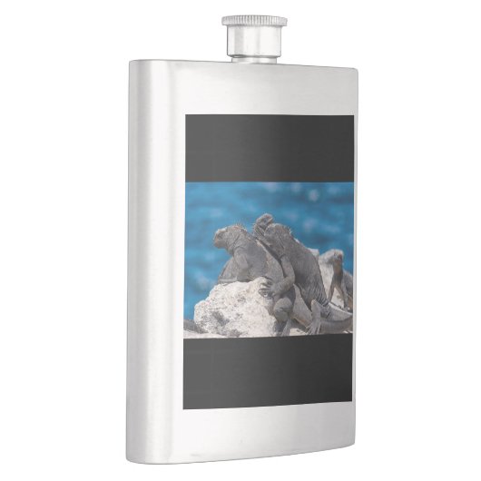 Marine Iguana Flachmann (Rechts)