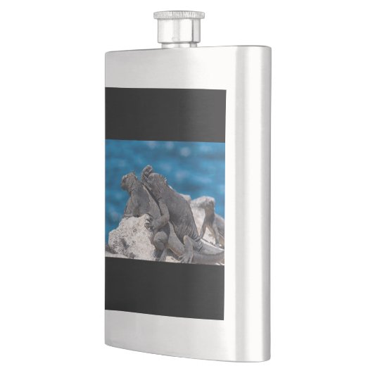 Marine Iguana Flachmann (Links)