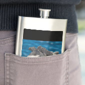 Marine Iguana Flachmann (Beispiel)