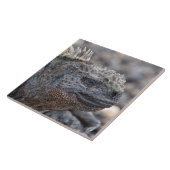 Marine Iguana Fliese (Seite)