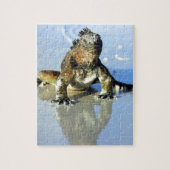 Marine iguana Galapagos Puzzle (Vertikal)