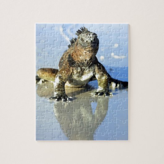 Marine iguana Galapagos Puzzle (Vertikal)