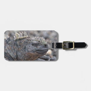 Marine Iguana Gepäckanhänger
