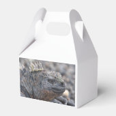 Marine Iguana Geschenkschachtel (Rückseite)